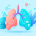 Flat vector illustration showing heart and lungs with calm and heightened autonomic states to represent propranolol’s effect on physical anxiety symptoms.
